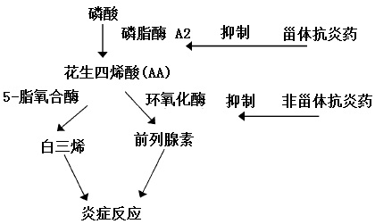 炎癥反應(yīng)機(jī)制